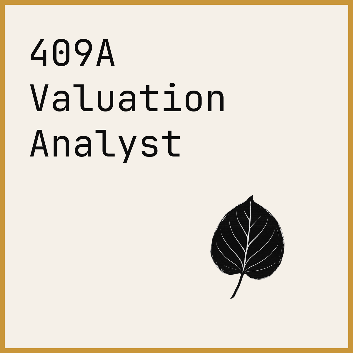 409A Valuation Analyst