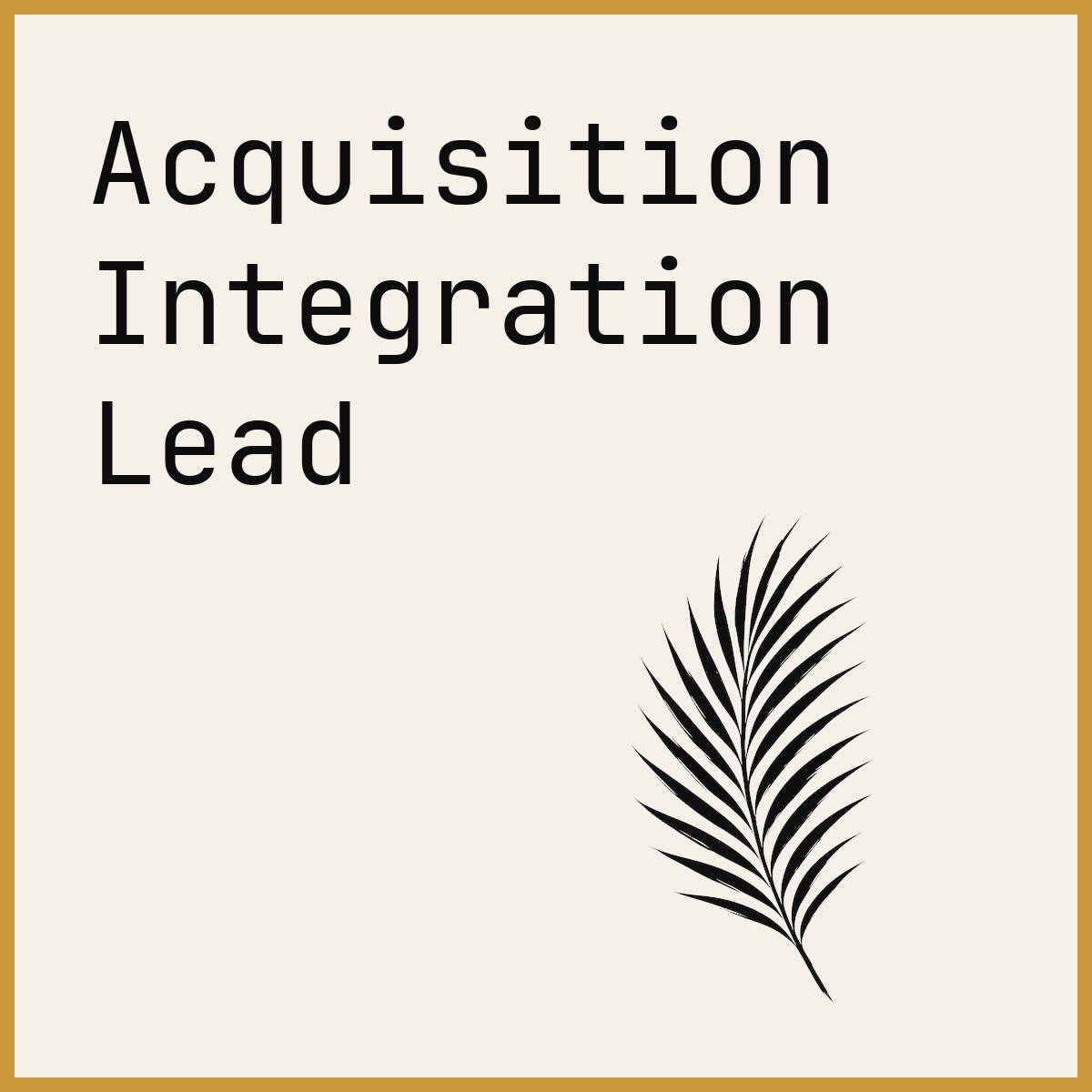 Acquisition Integration Lead