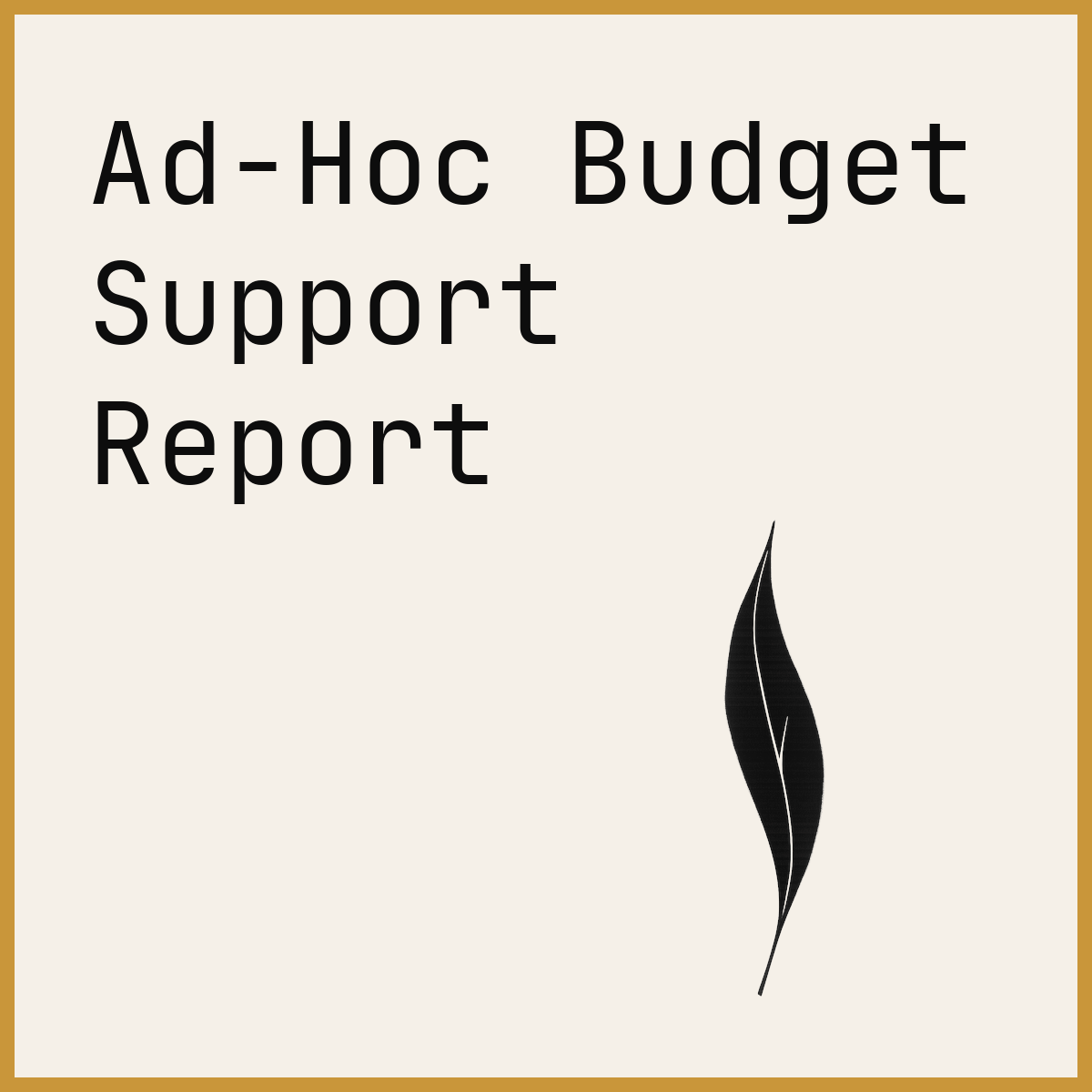 Ad-Hoc Budget Support Report