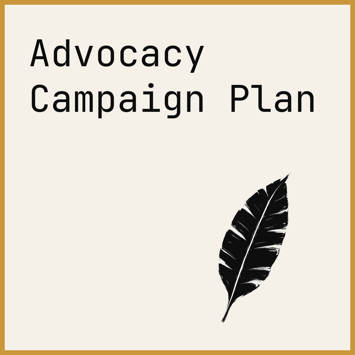Advocacy Campaign Plan
