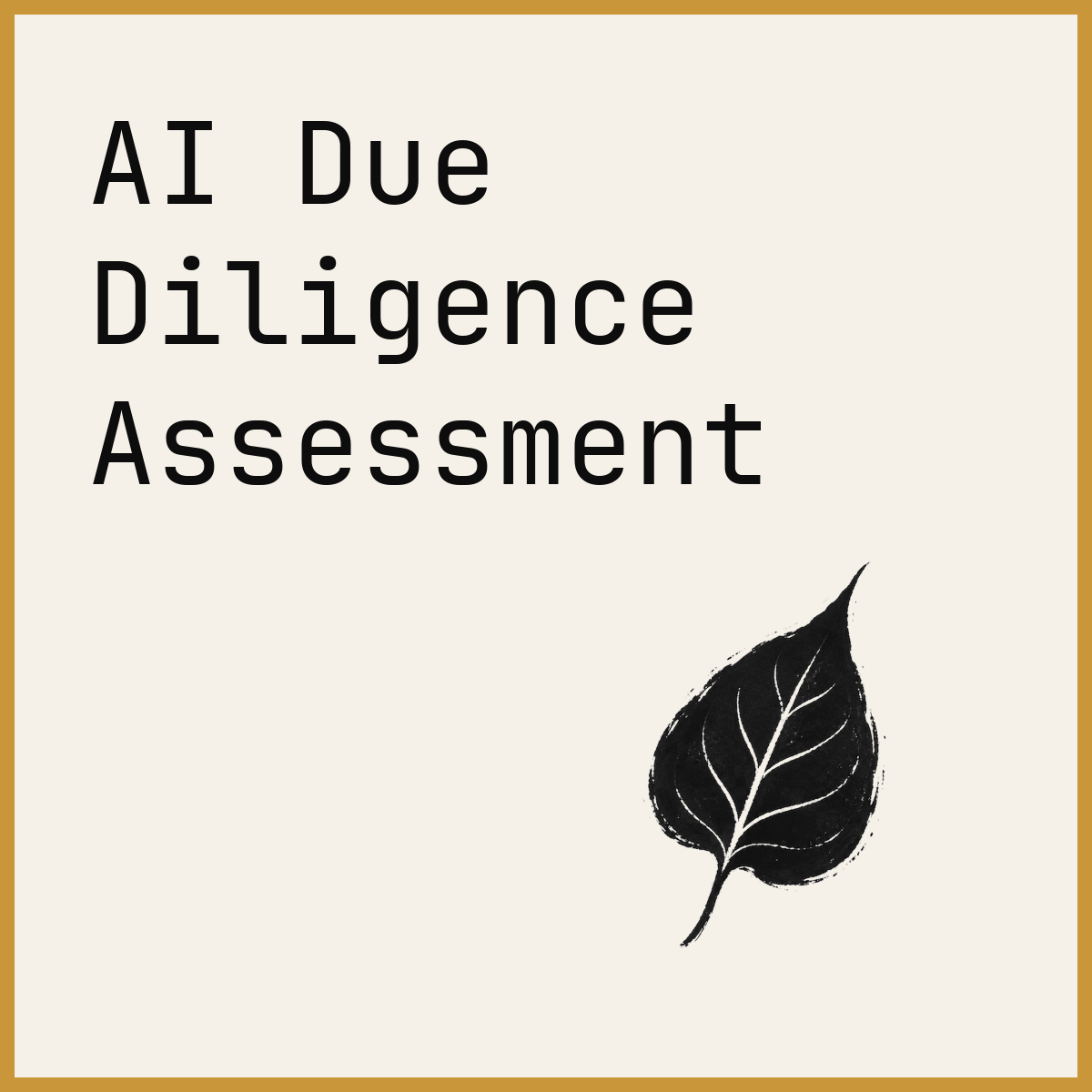 AI Due Diligence Assessment