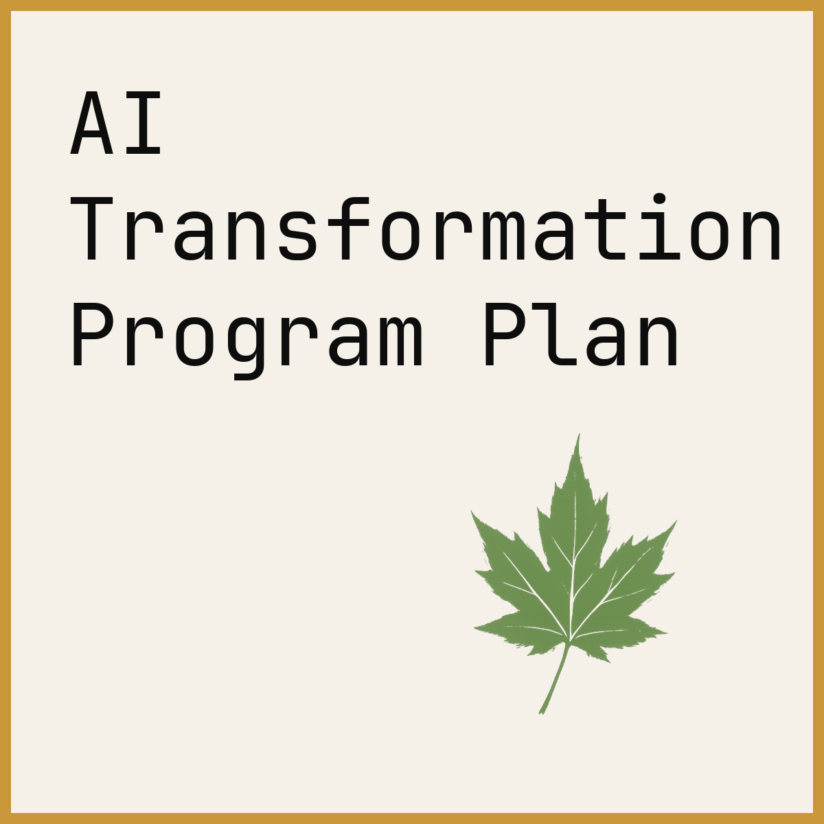 AI Transformation Program Plan