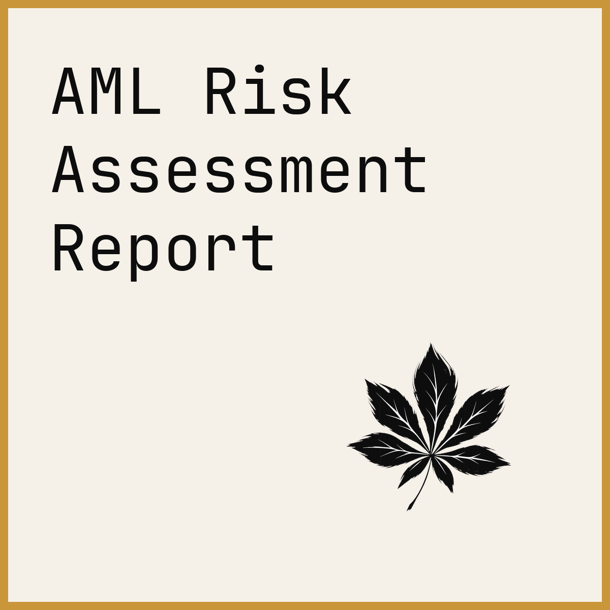 AML Risk Assessment Report