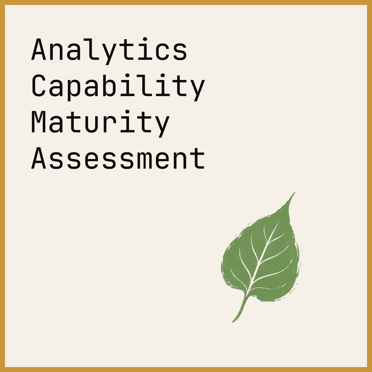 Analytics Capability Maturity Assessment