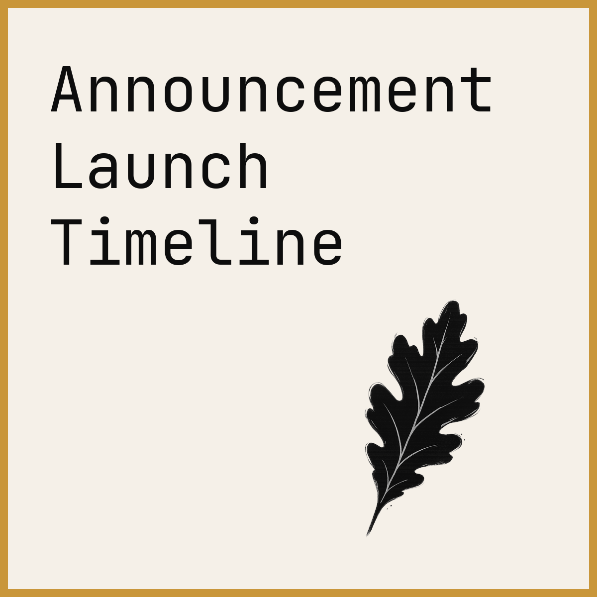 Announcement Launch Timeline