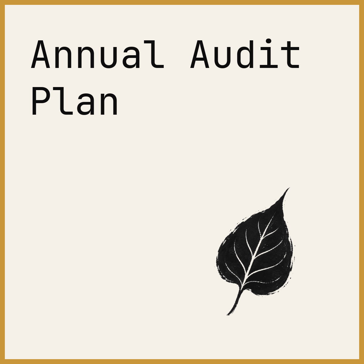 Annual Audit Plan
