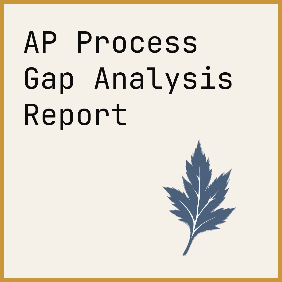 AP Process Gap Analysis Report