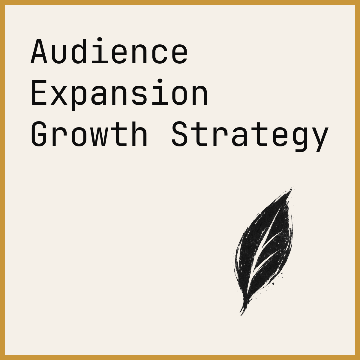 Audience Expansion Growth Strategy