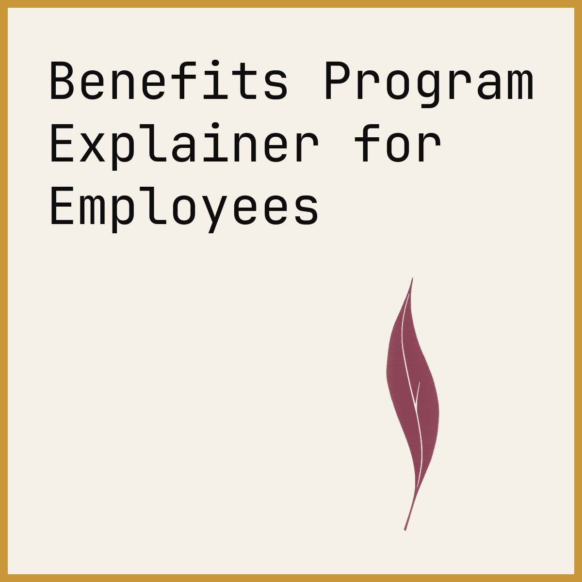 Benefits Program Explainer for Employees