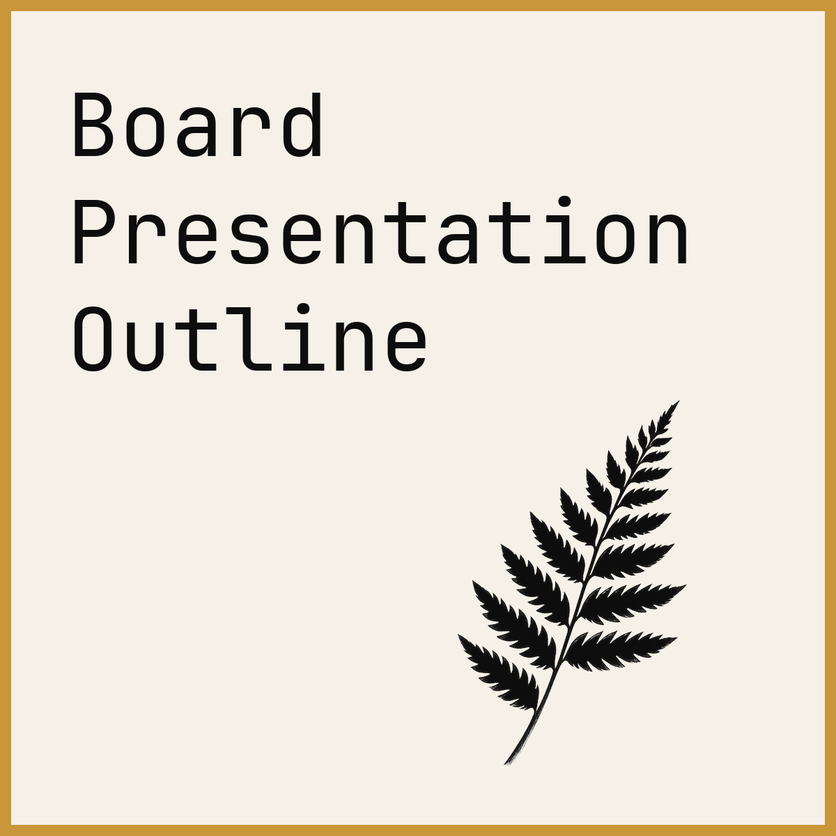 Board Presentation Outline