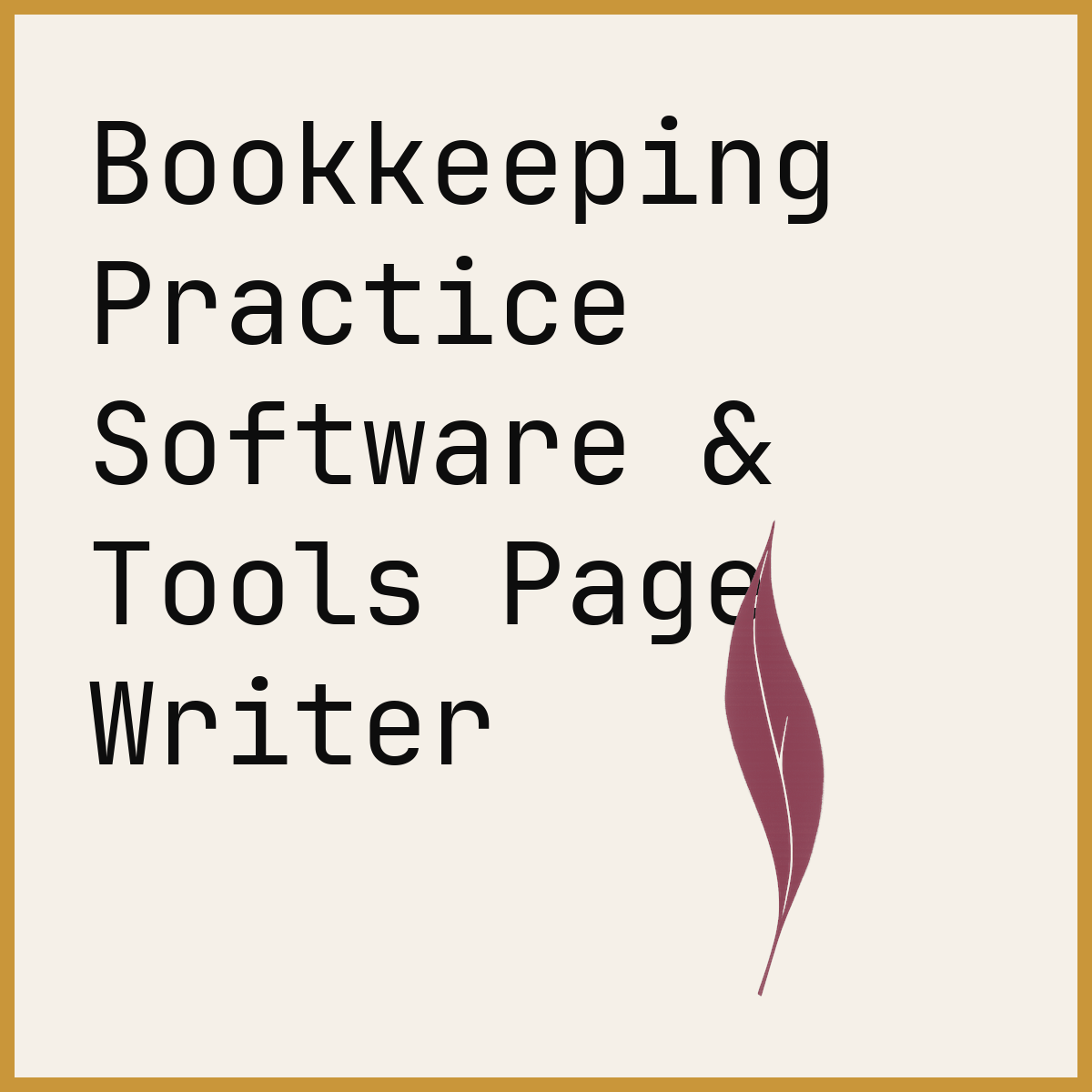 Bookkeeping Practice Software & Tools Page Writer