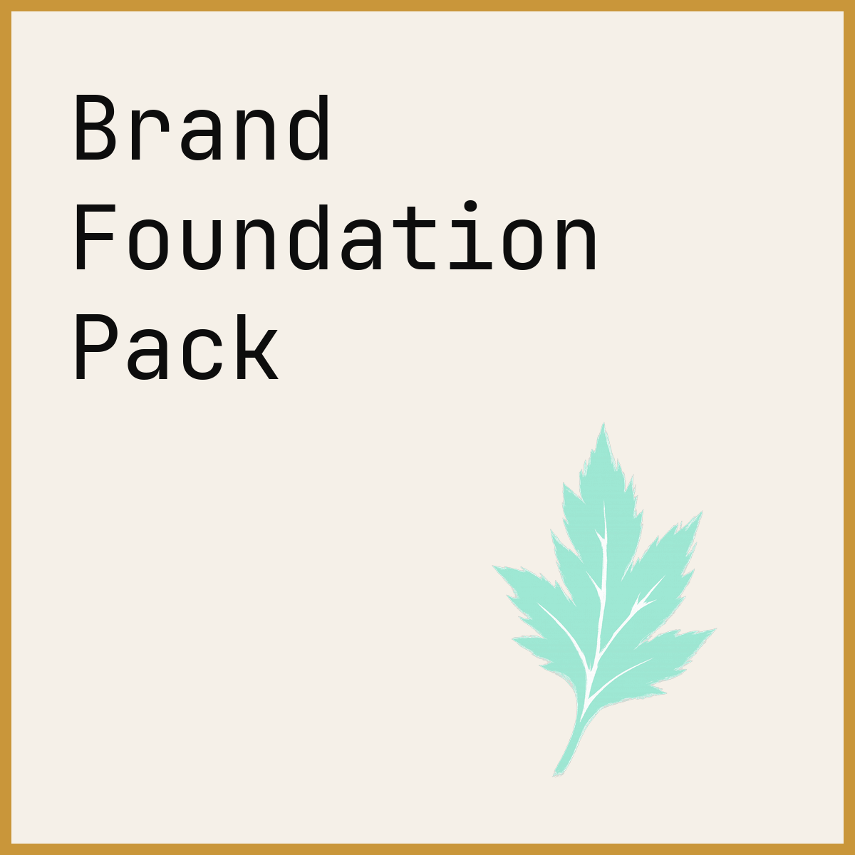 Brand Foundation Pack