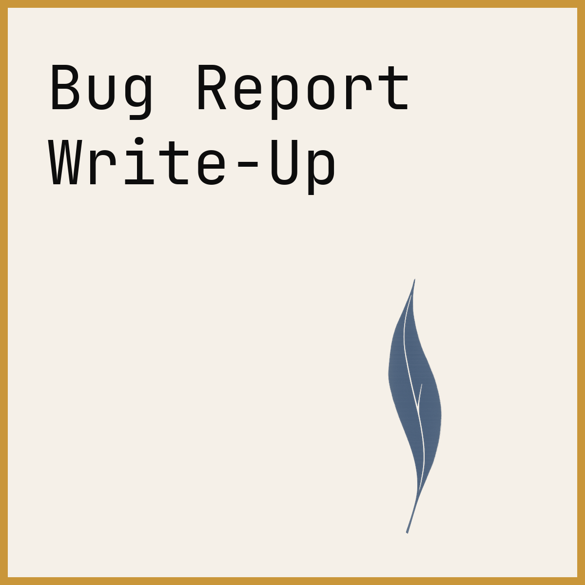 Bug Report Write-Up