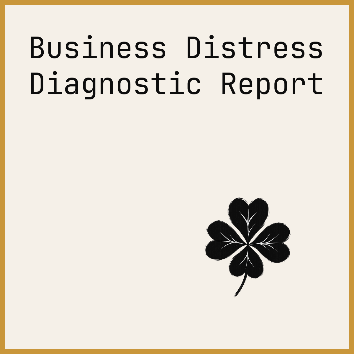 Business Distress Diagnostic Report