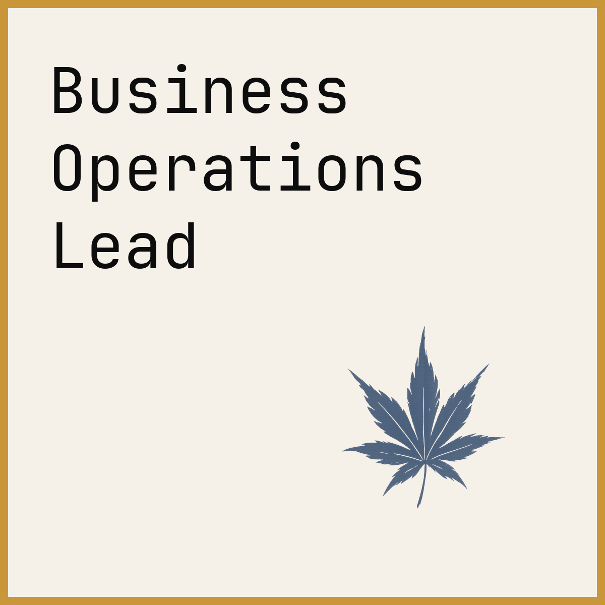 Business Operations Lead