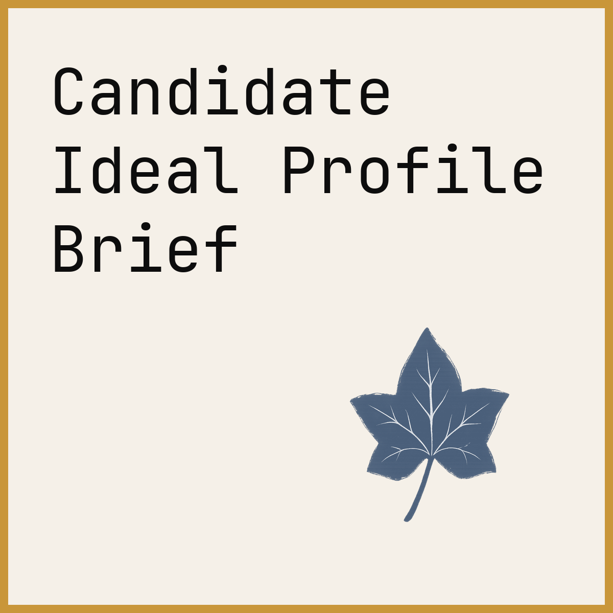 Candidate Ideal Profile Brief