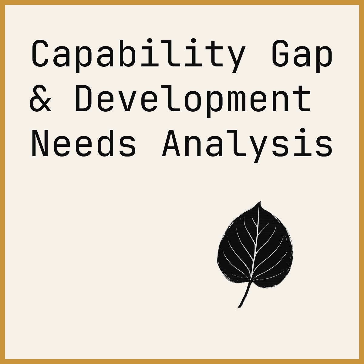 Capability Gap & Development Needs Analysis