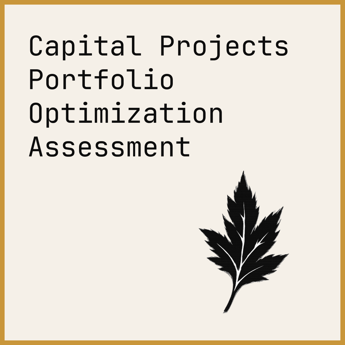 Capital Projects Portfolio Optimization Assessment
