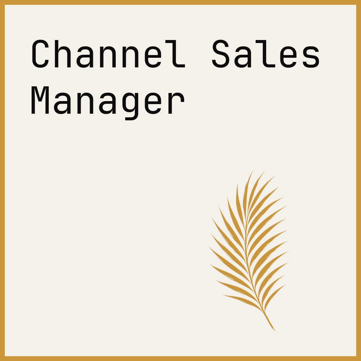 Channel Sales Manager
