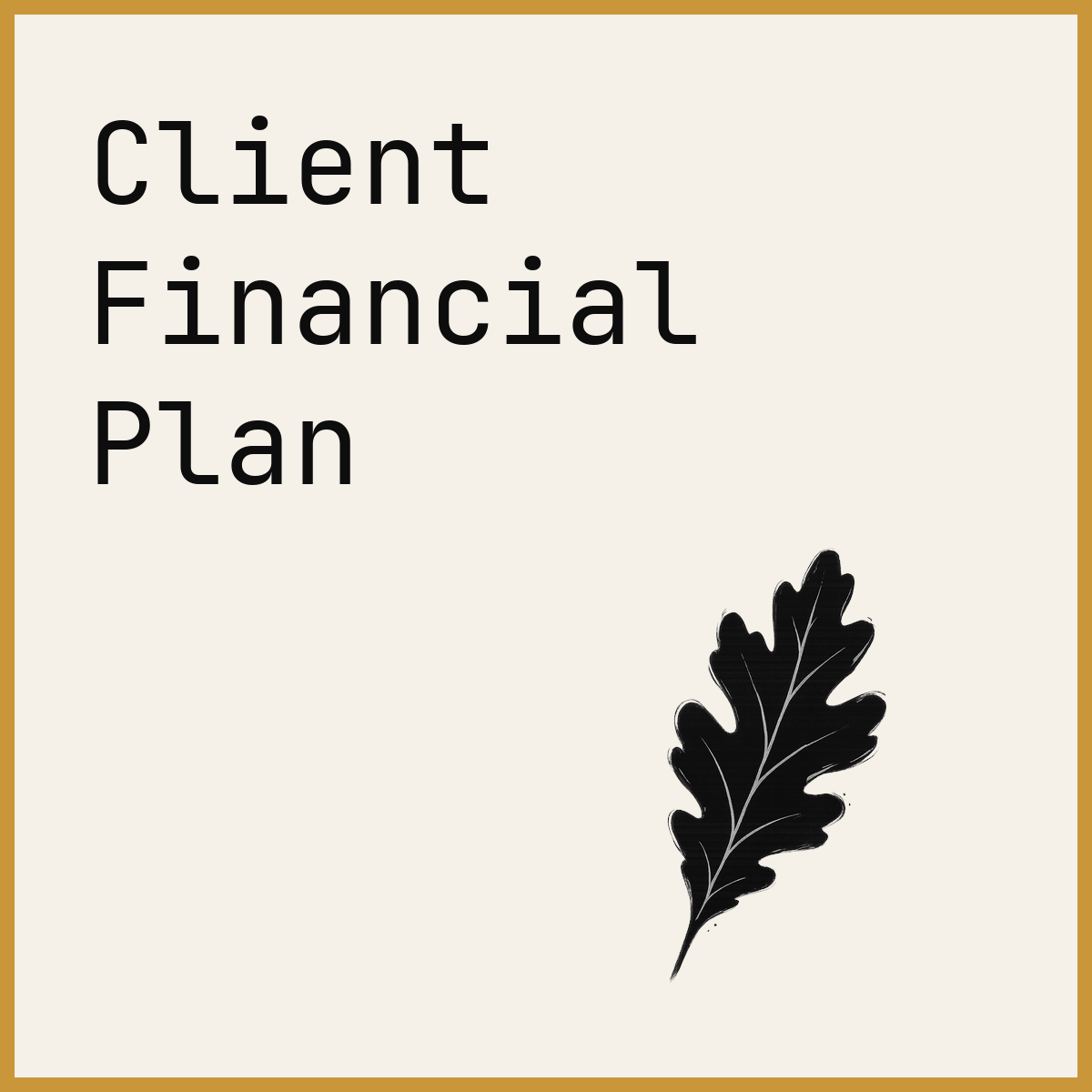 Client Financial Plan