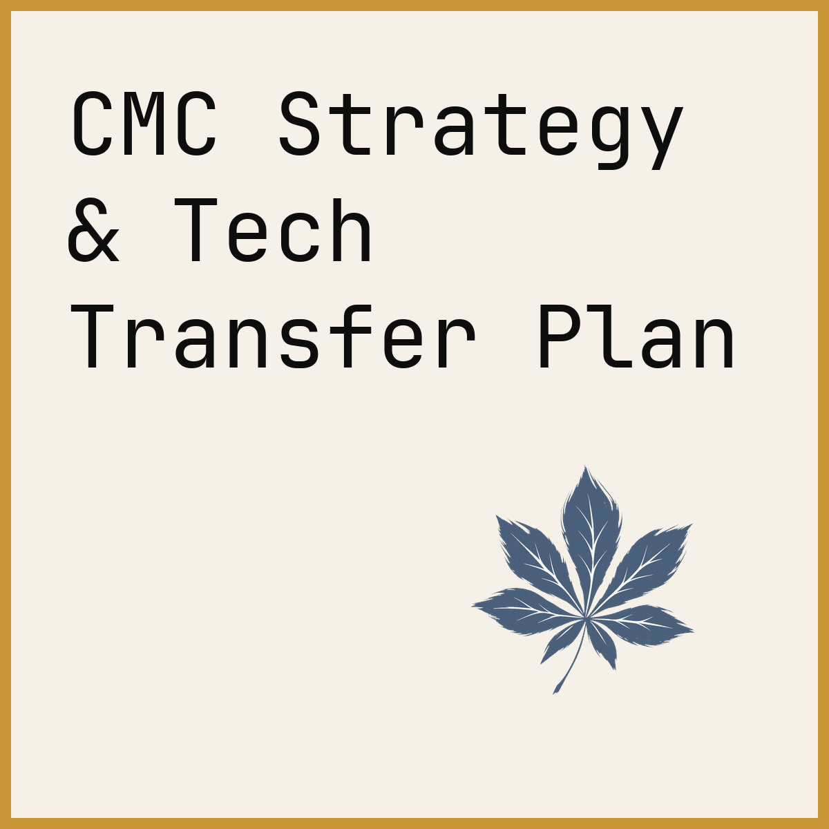 CMC Strategy & Tech Transfer Plan