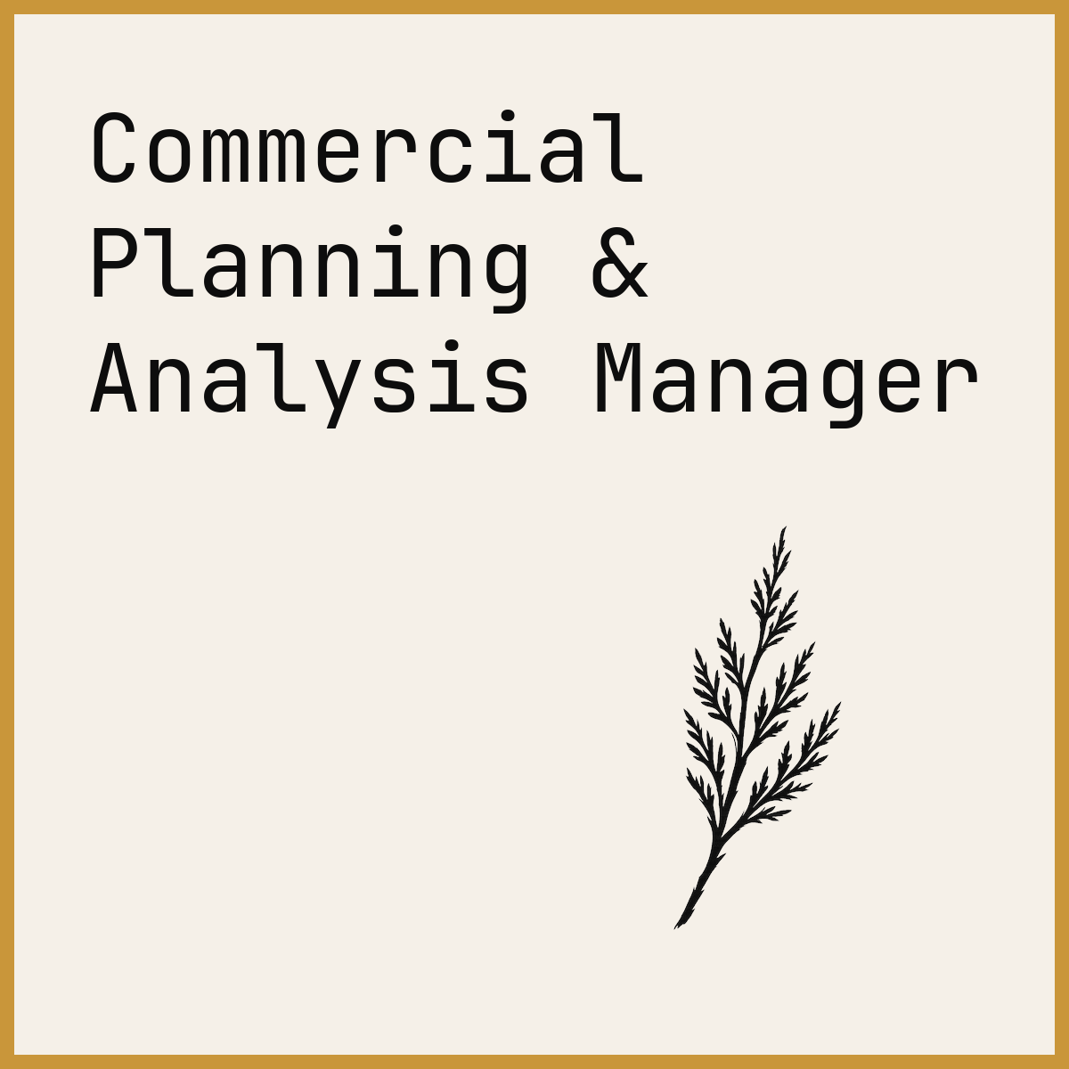 Commercial Planning & Analysis Manager
