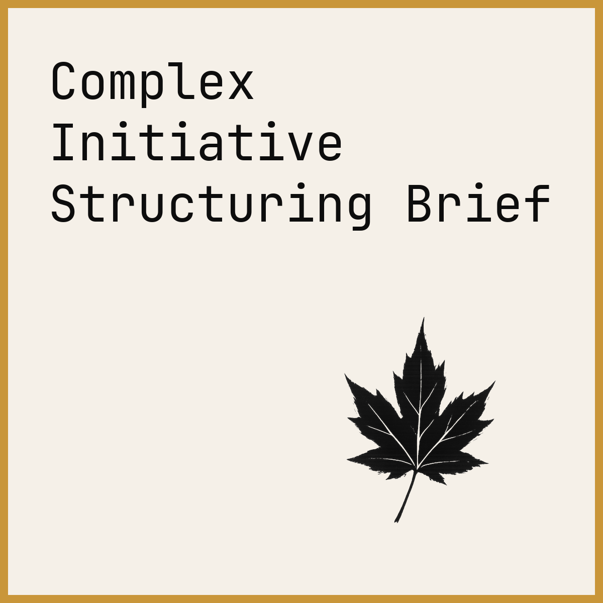 Complex Initiative Structuring Brief