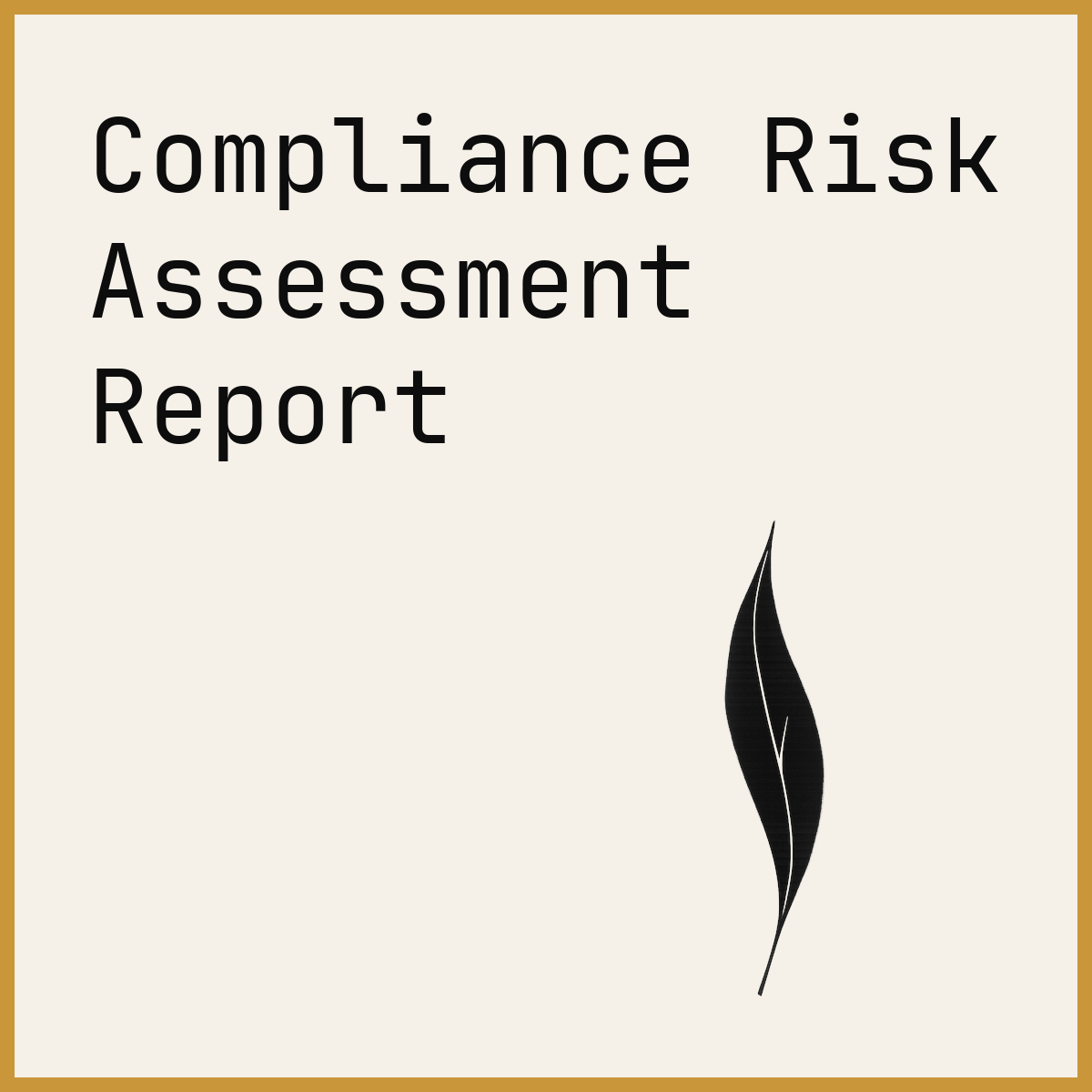 Compliance Risk Assessment Report