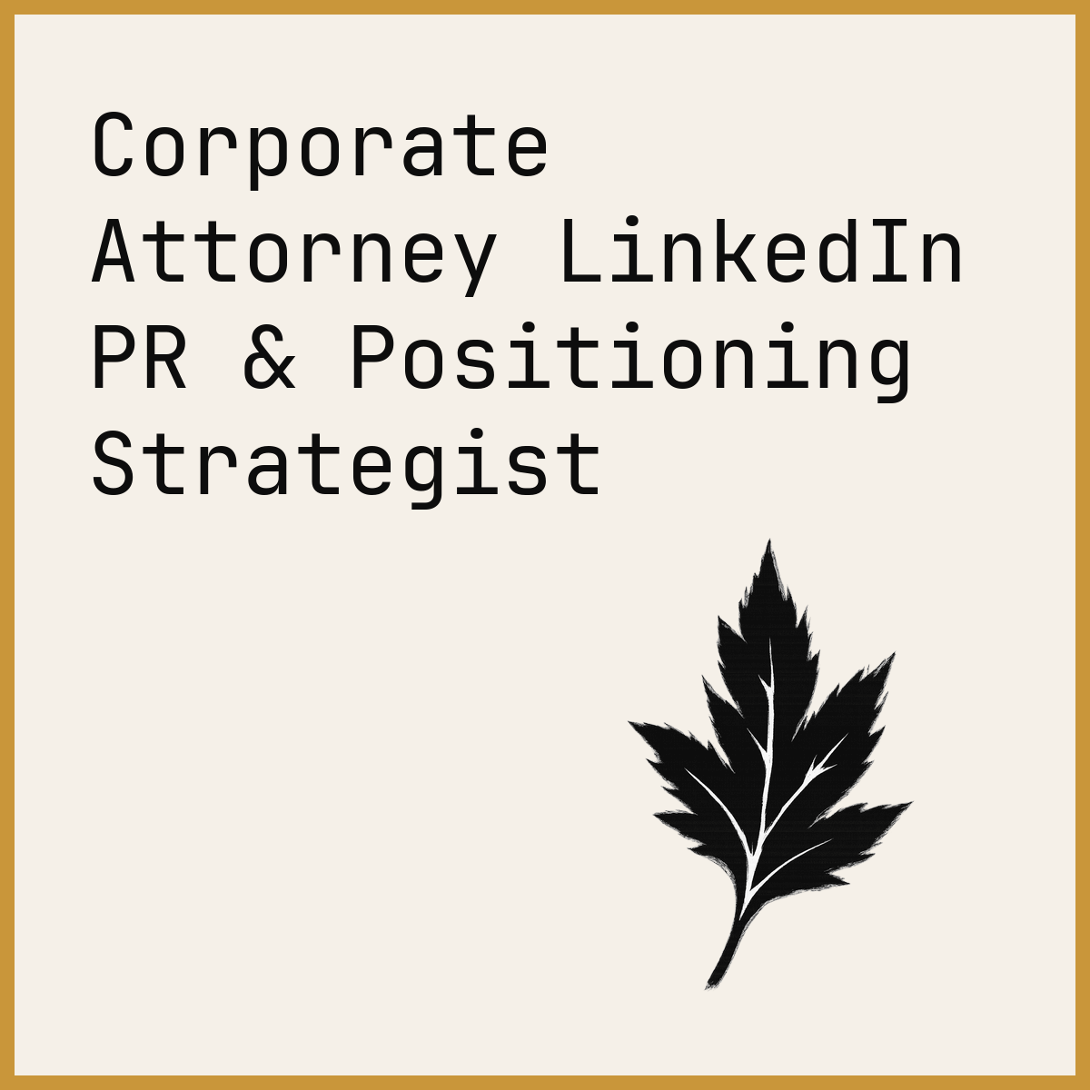 Corporate Attorney LinkedIn PR & Positioning Strategist