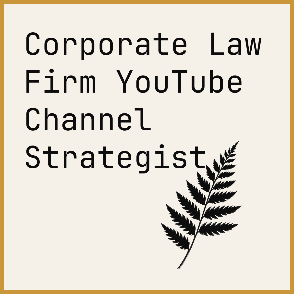 Corporate Law Firm YouTube Channel Strategist