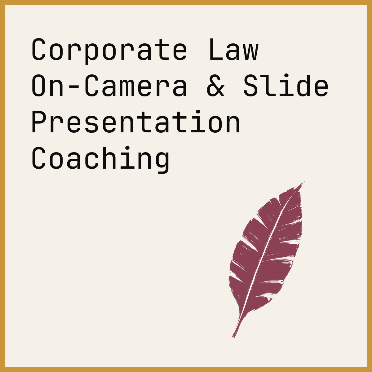 Corporate Law On-Camera & Slide Presentation Coaching