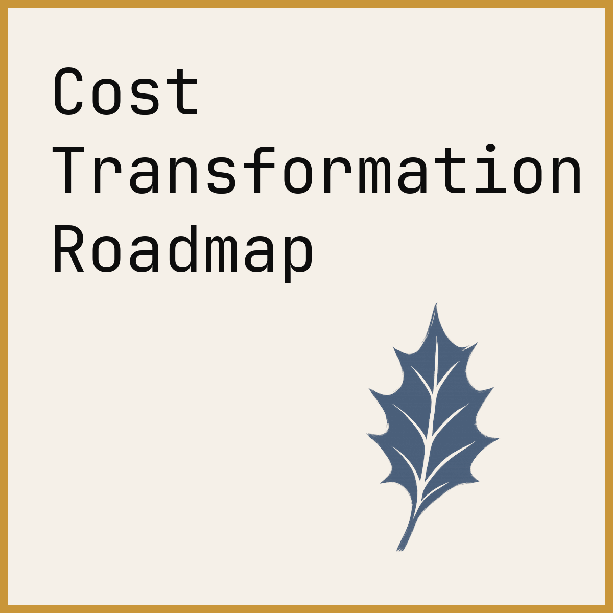 Cost Transformation Roadmap