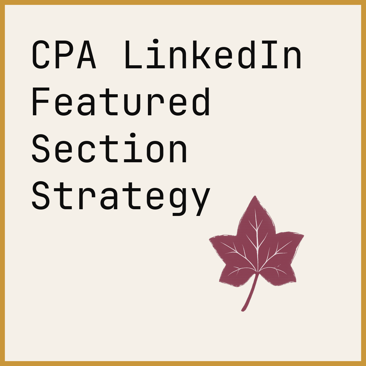 CPA LinkedIn Featured Section Strategy