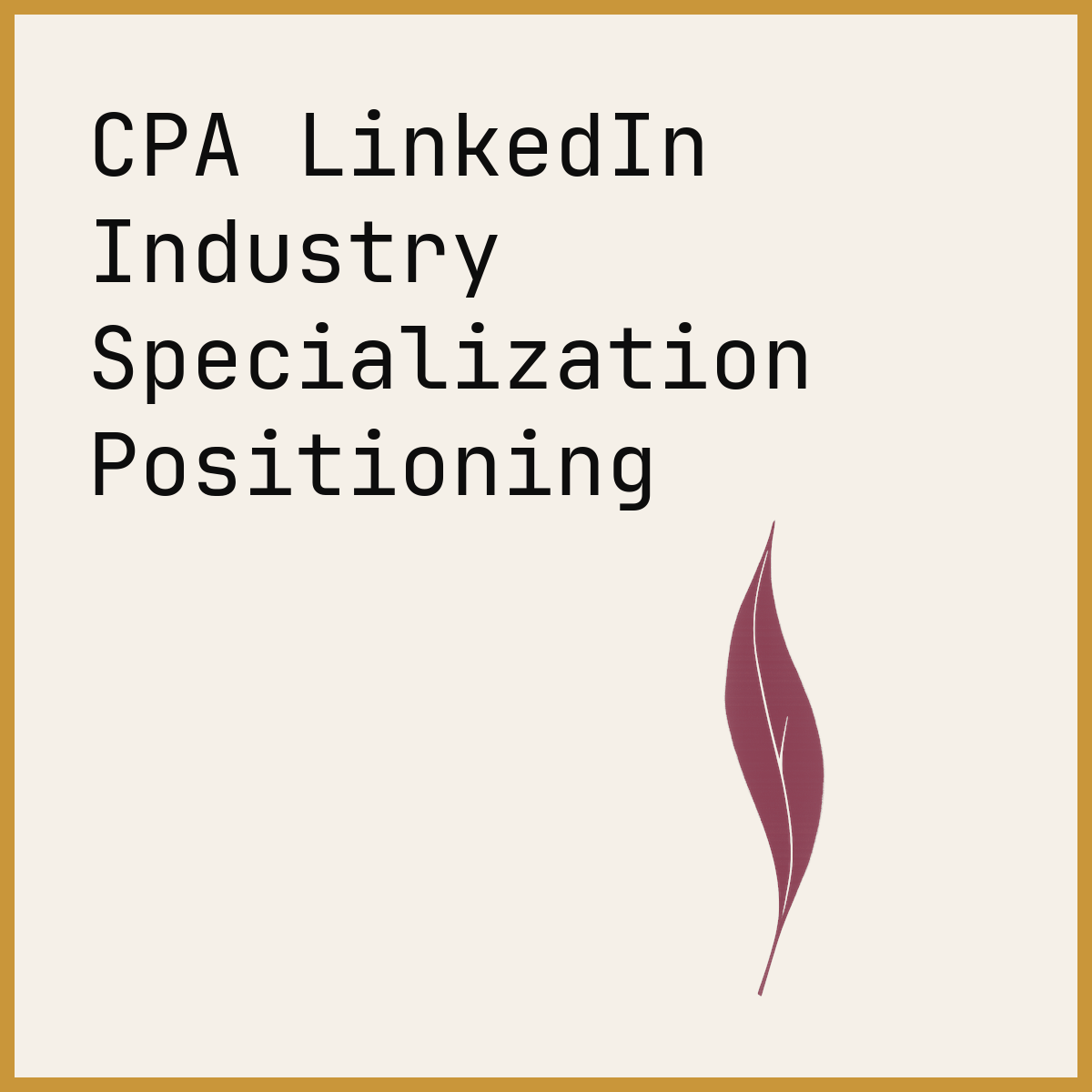 CPA LinkedIn Industry Specialization Positioning