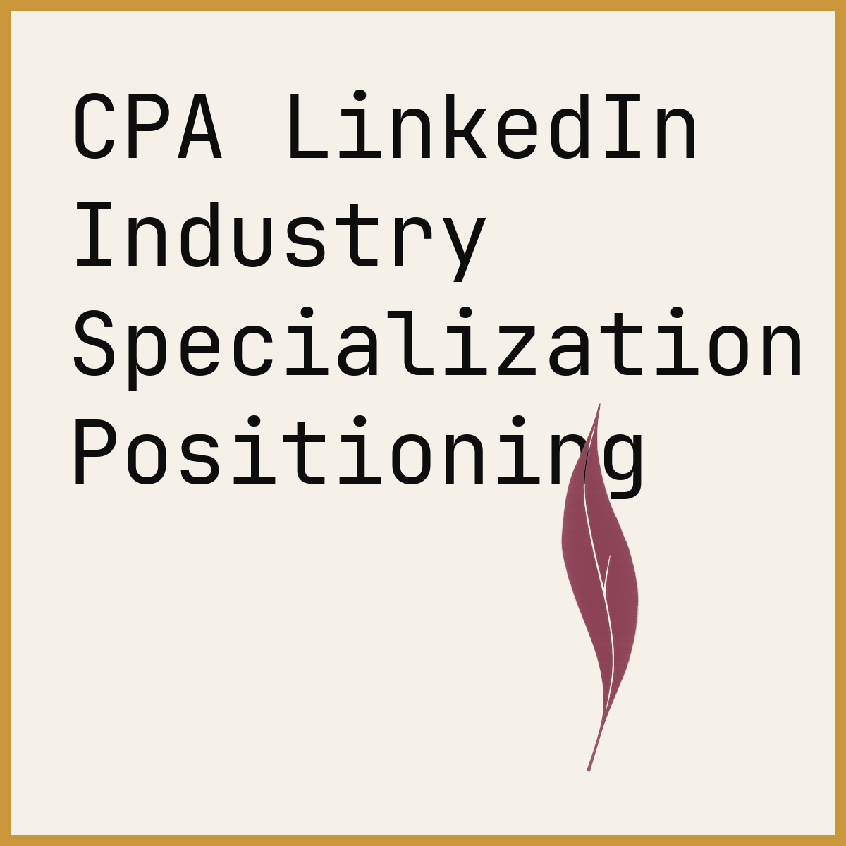 CPA LinkedIn Industry Specialization Positioning