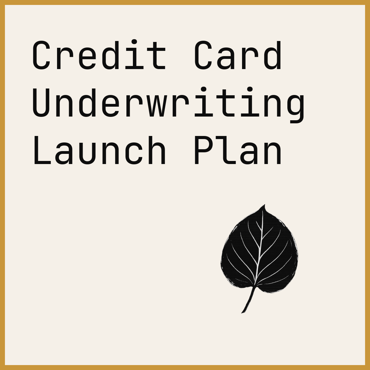 Credit Card Underwriting Launch Plan
