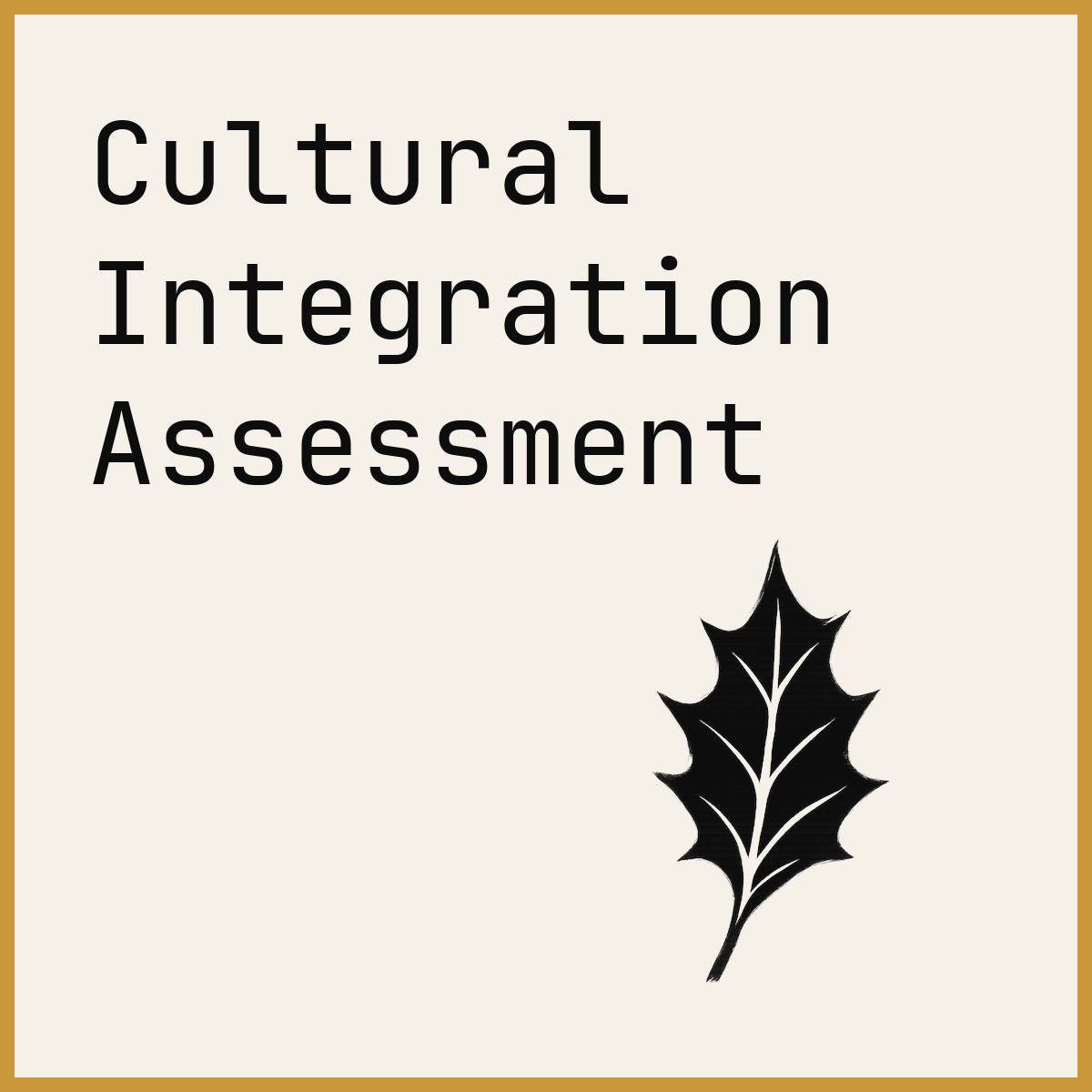 Cultural Integration Assessment