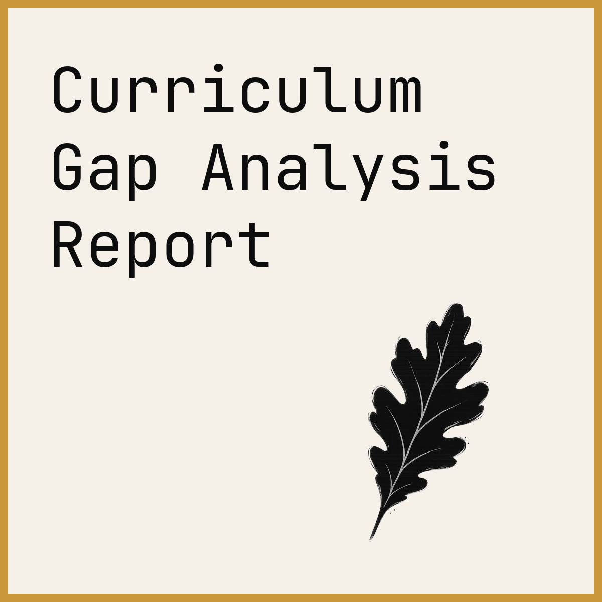 Curriculum Gap Analysis Report
