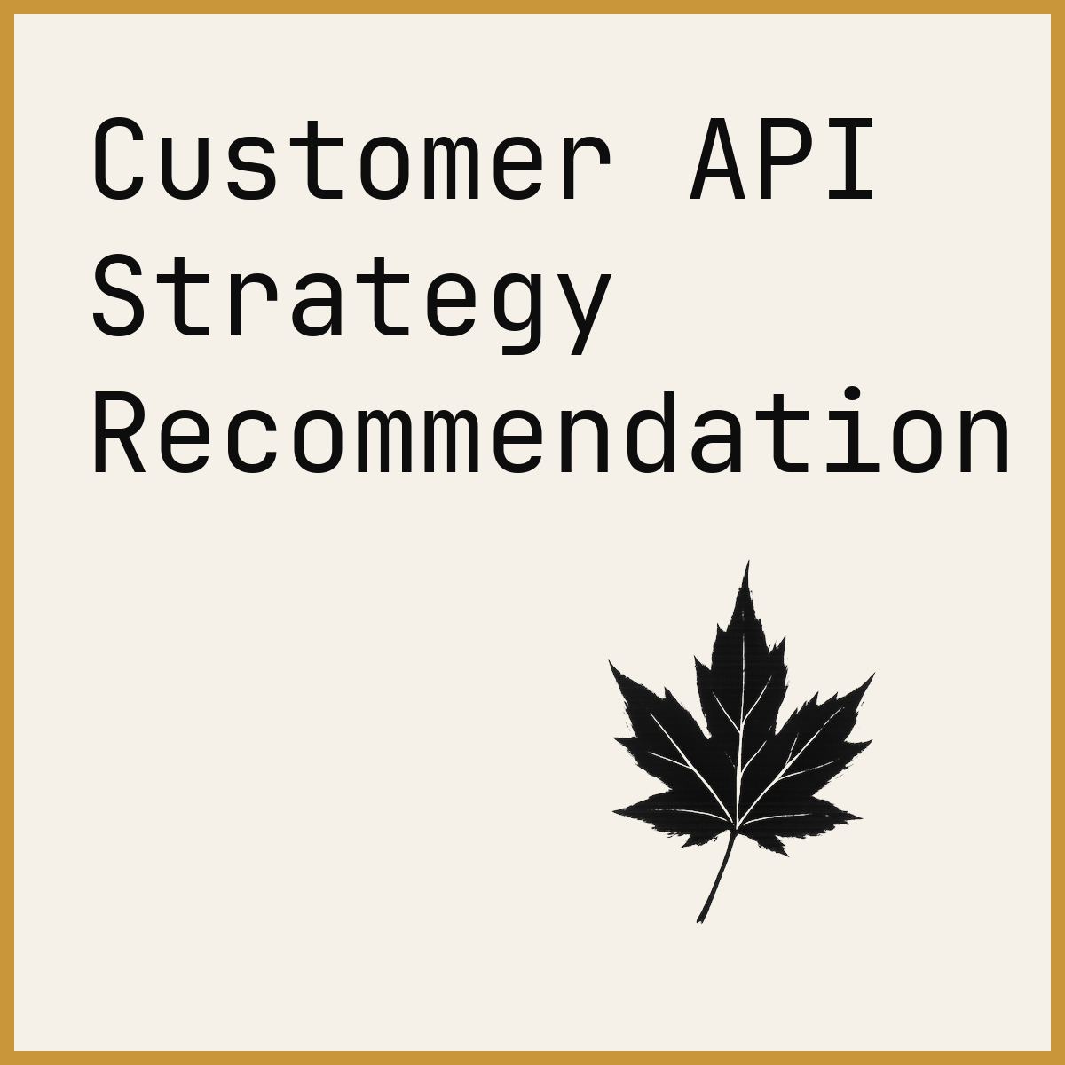 Customer API Strategy Recommendation