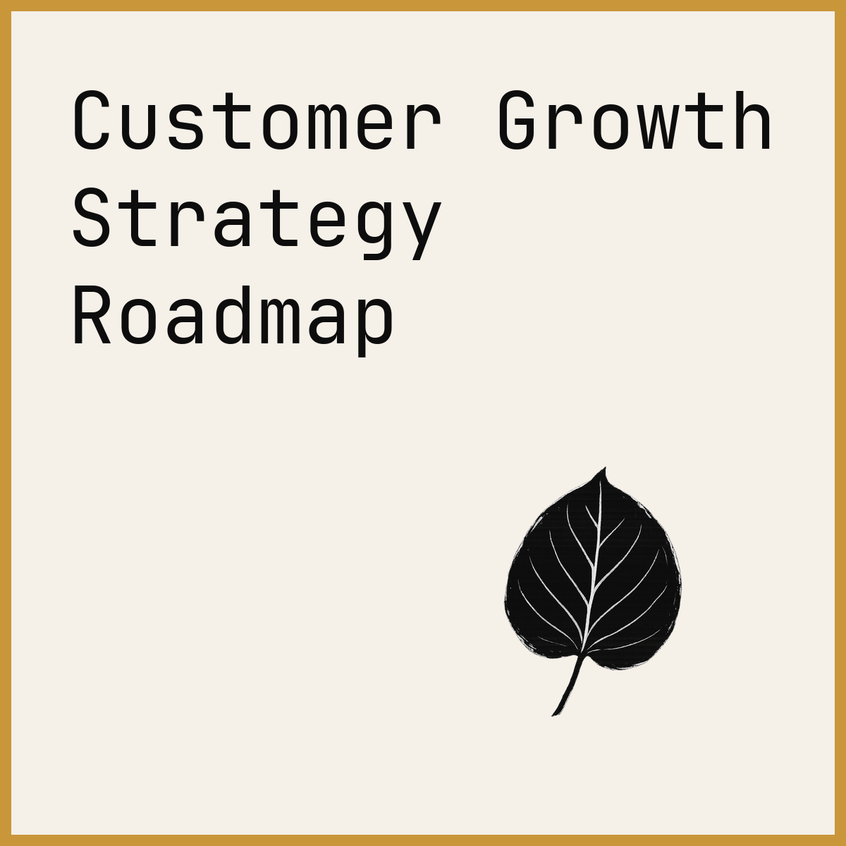 Customer Growth Strategy Roadmap