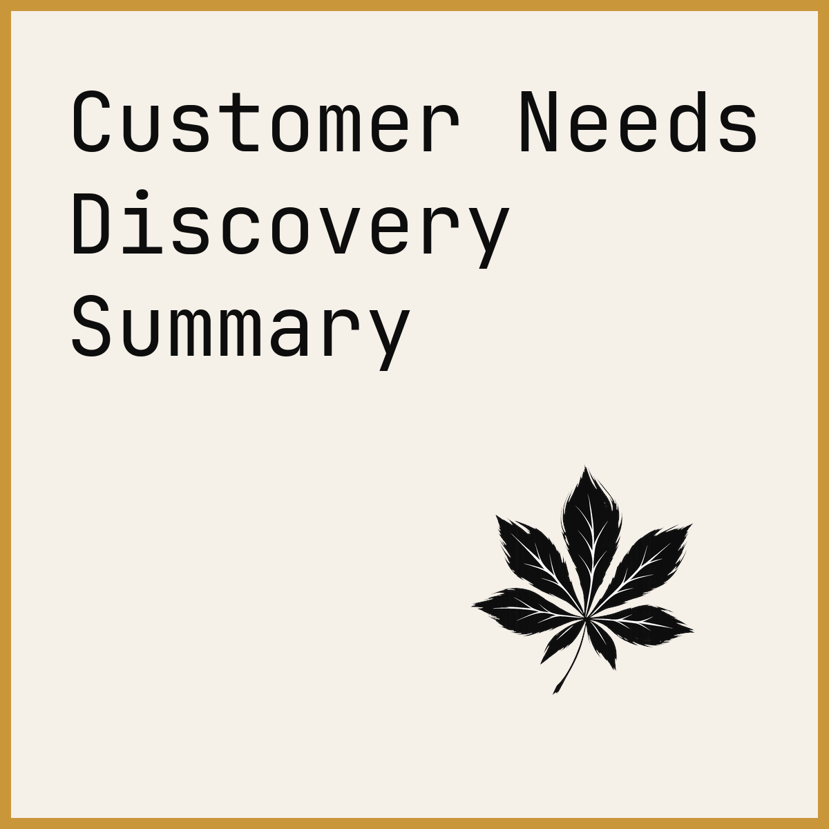 Customer Needs Discovery Summary