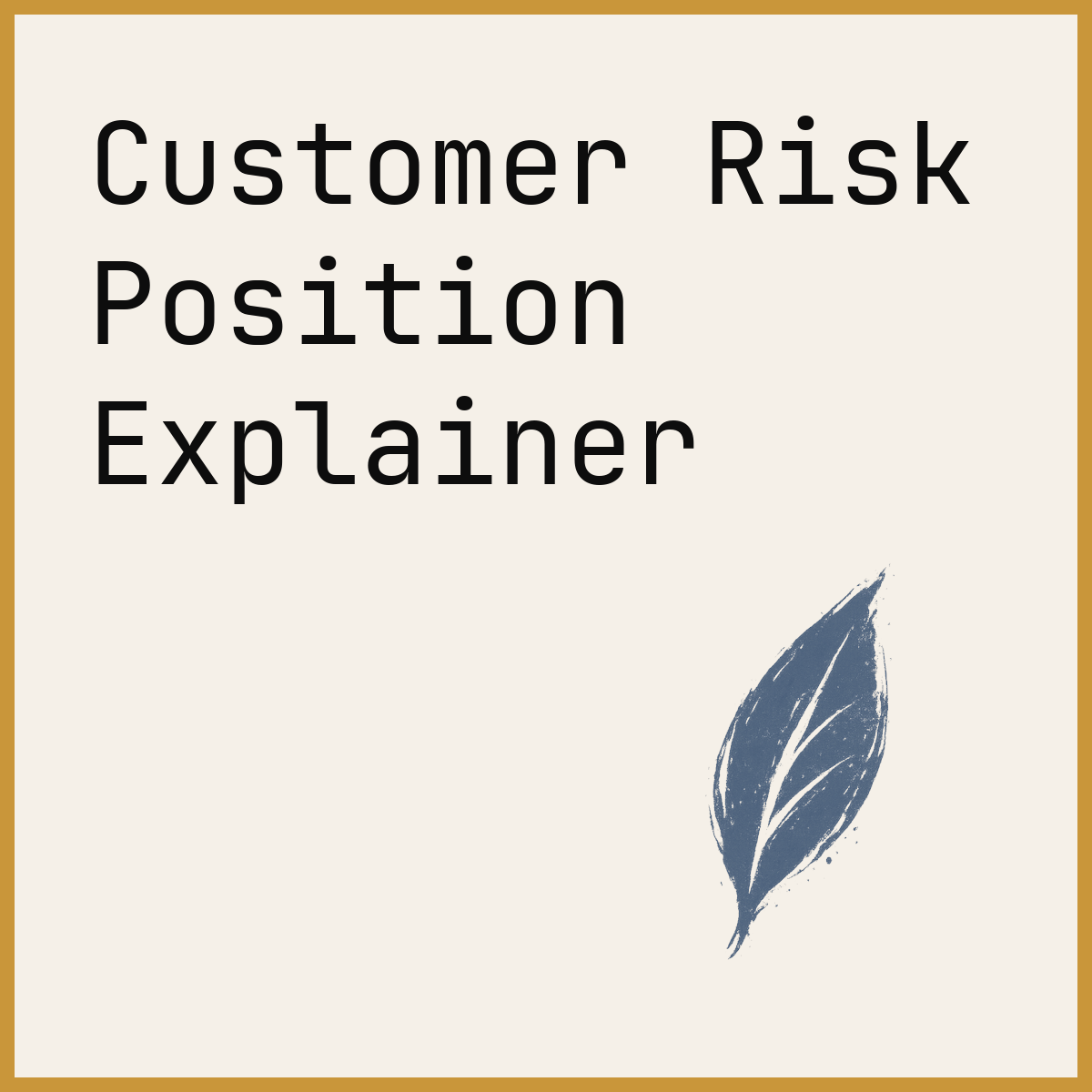 Customer Risk Position Explainer
