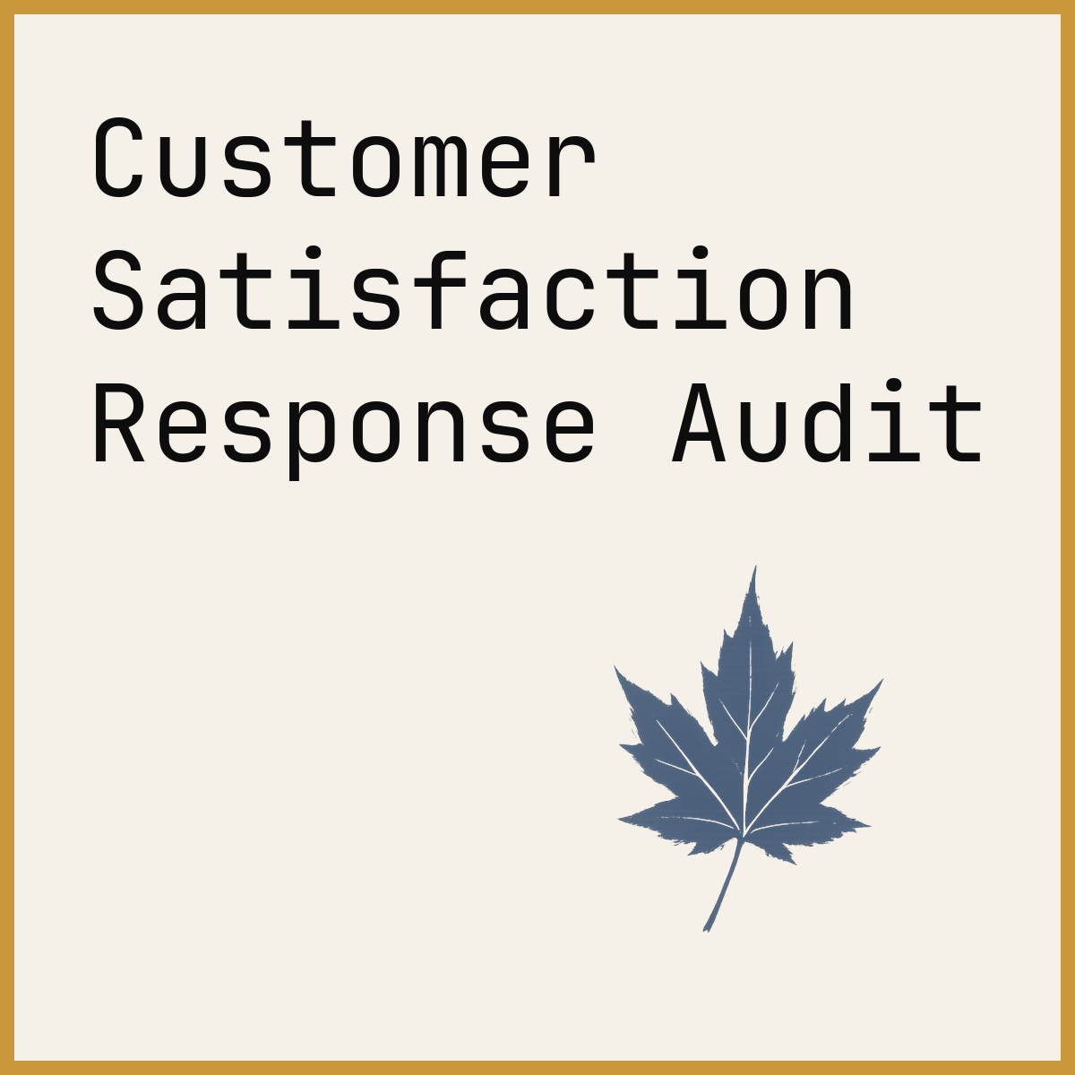 Customer Satisfaction Response Audit