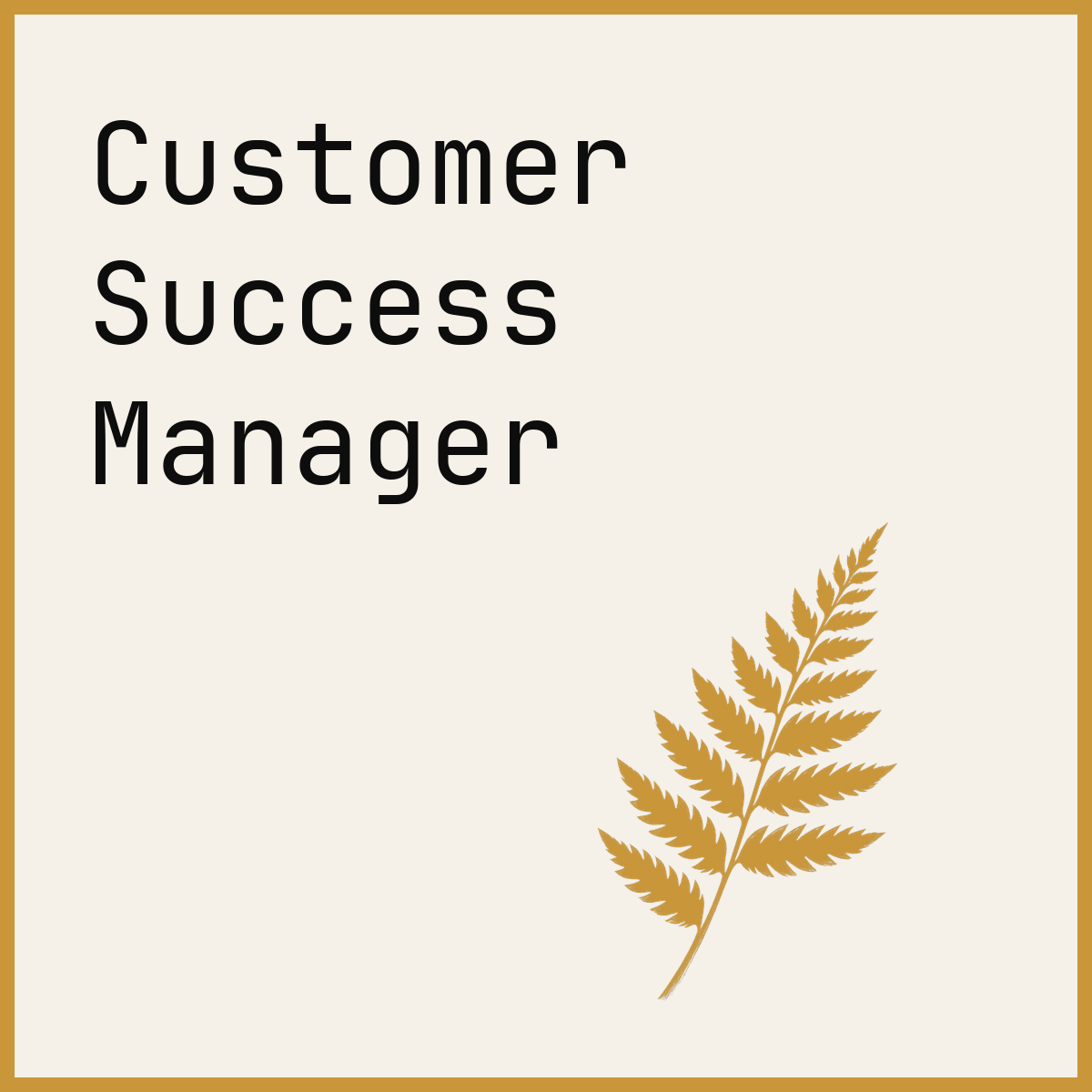 Customer Success Manager