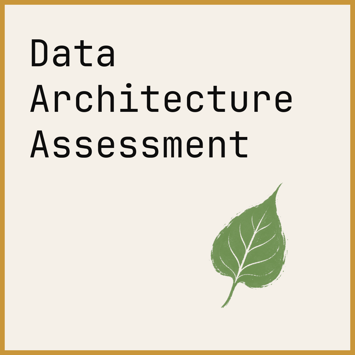 Data Architecture Assessment