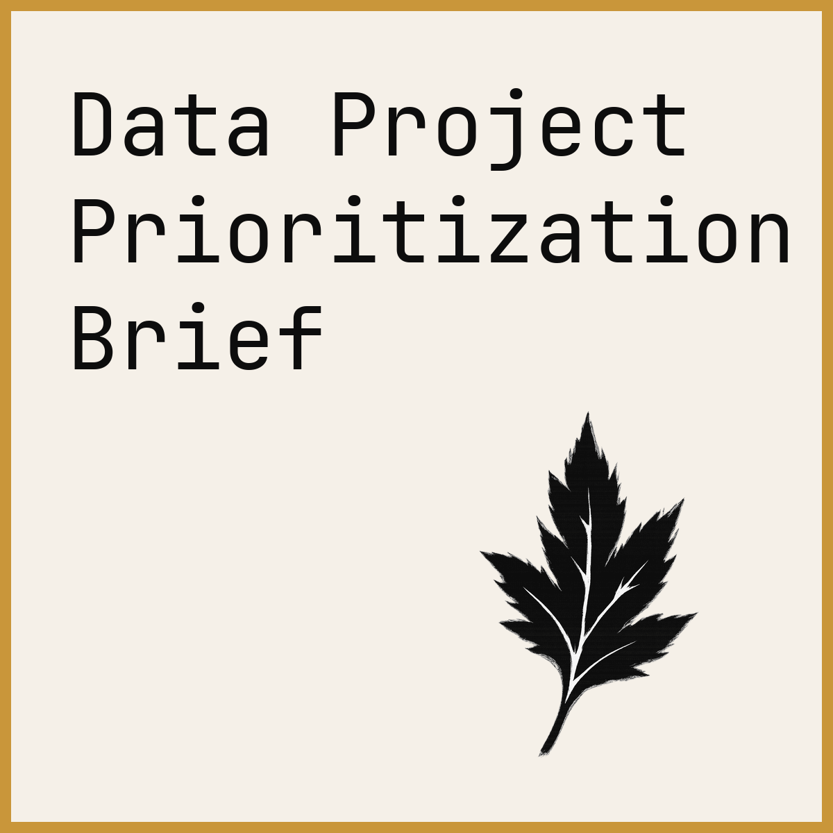 Data Project Prioritization Brief