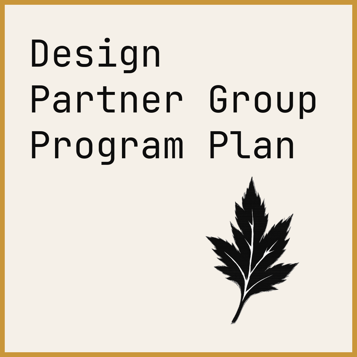 Design Partner Group Program Plan