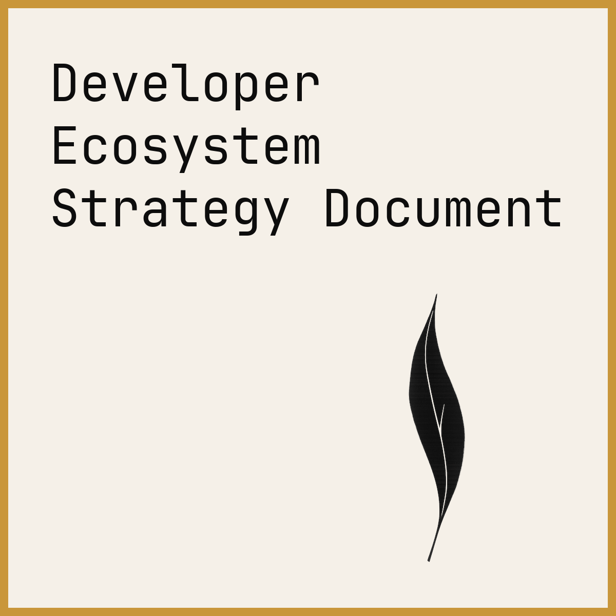 Developer Ecosystem Strategy Document