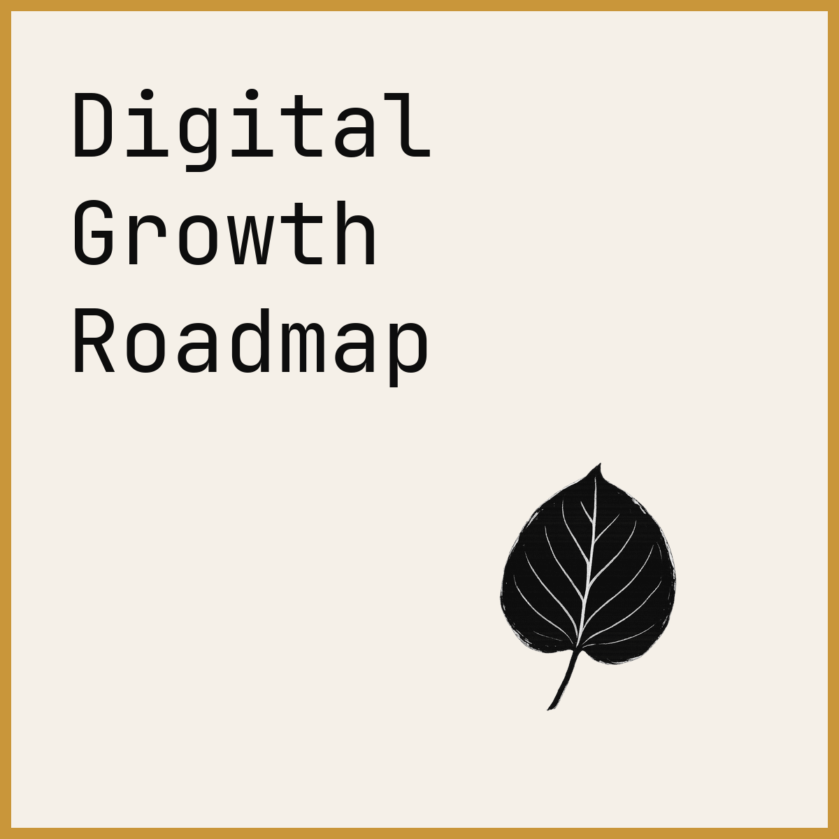 Digital Growth Roadmap