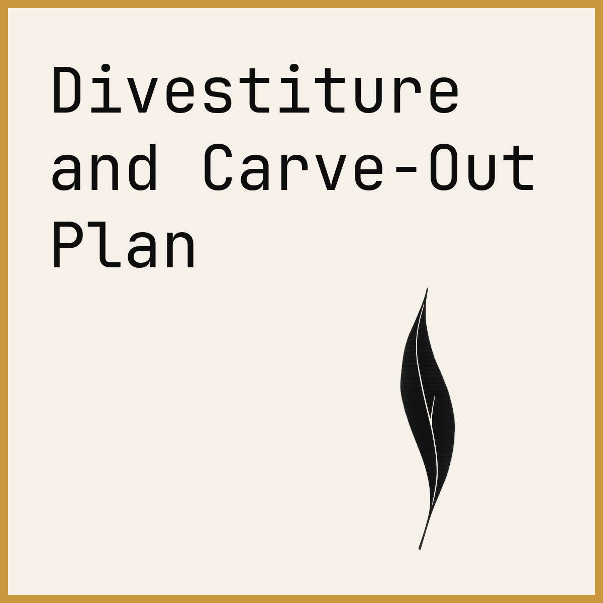 Divestiture and Carve-Out Plan